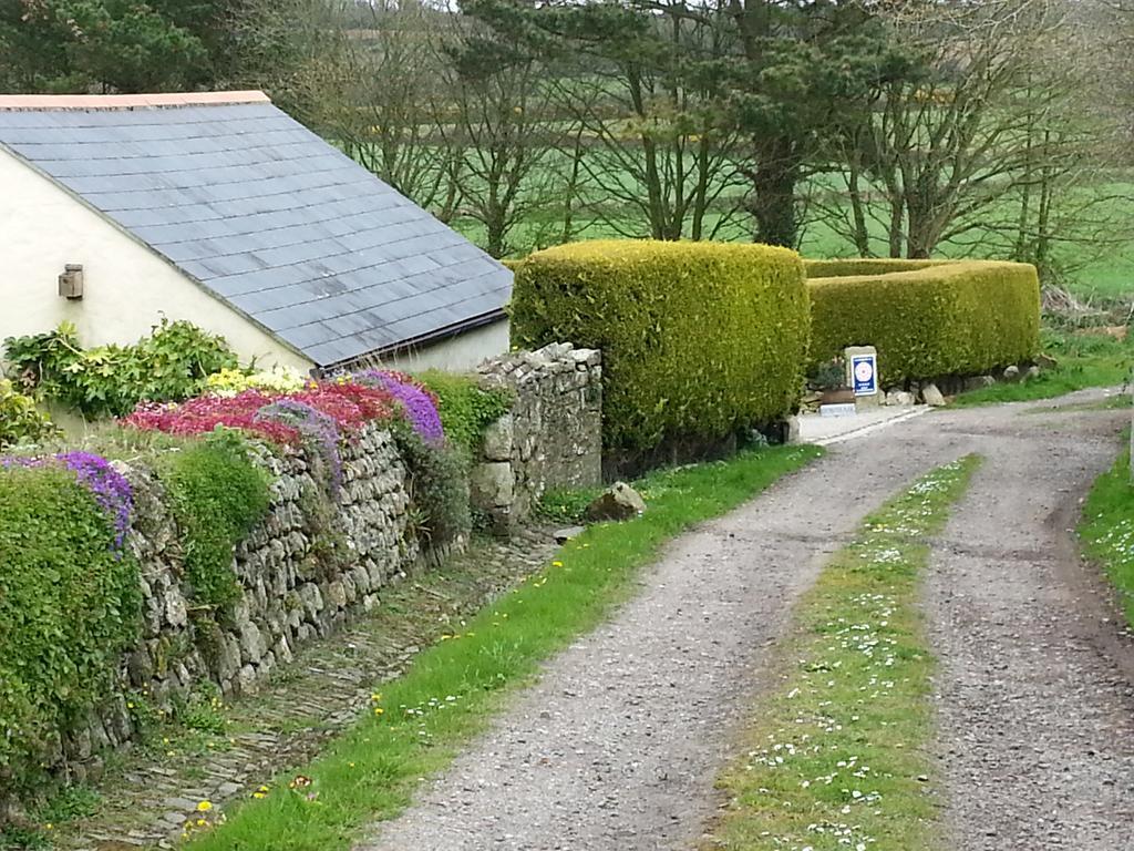 Bostrase B&B Hayle Exterior foto