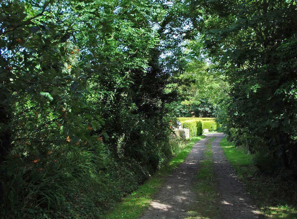 Bostrase B&B Hayle Exterior foto